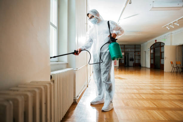 Best Pest Prevention Services  in Kapn, LA